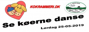 Kokrammeri, Marije Jacobsen, Hvendslund, ko, Landbrug, køer, jersey, jerseyko, jerseykøer, kalve, jerseykalve